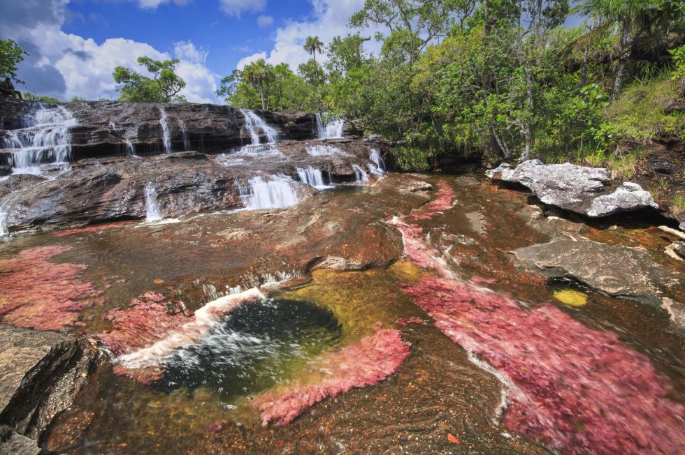 Rzeka w pięciu kolorach - Cano Cistales, Amazonia