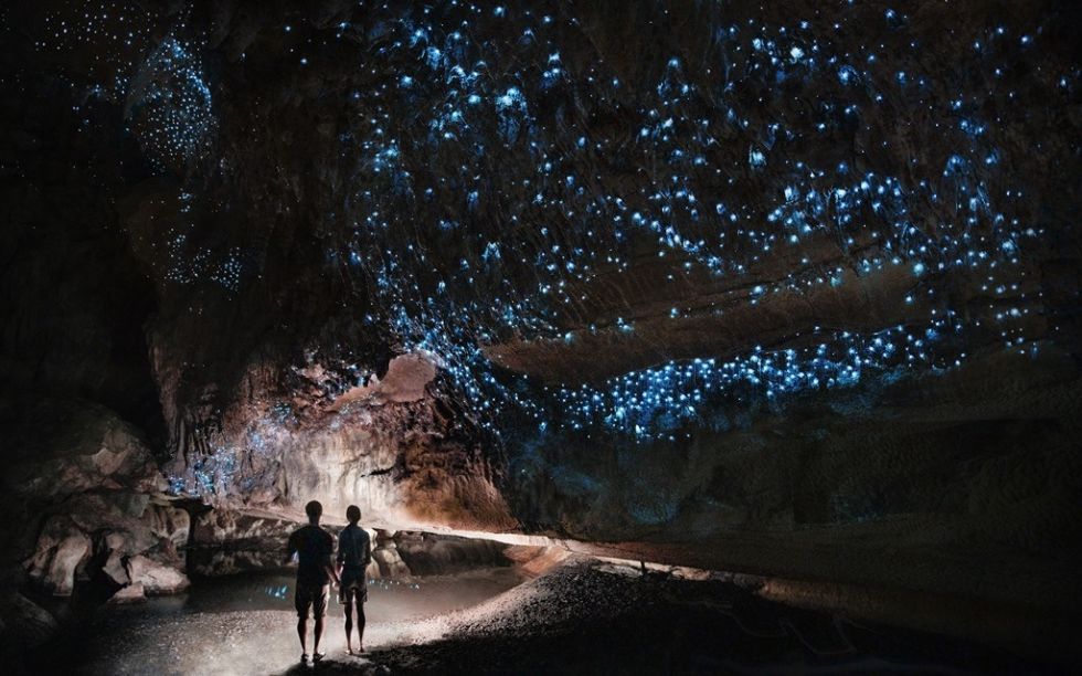 waitimo caves, rotorua, nowa zelandia