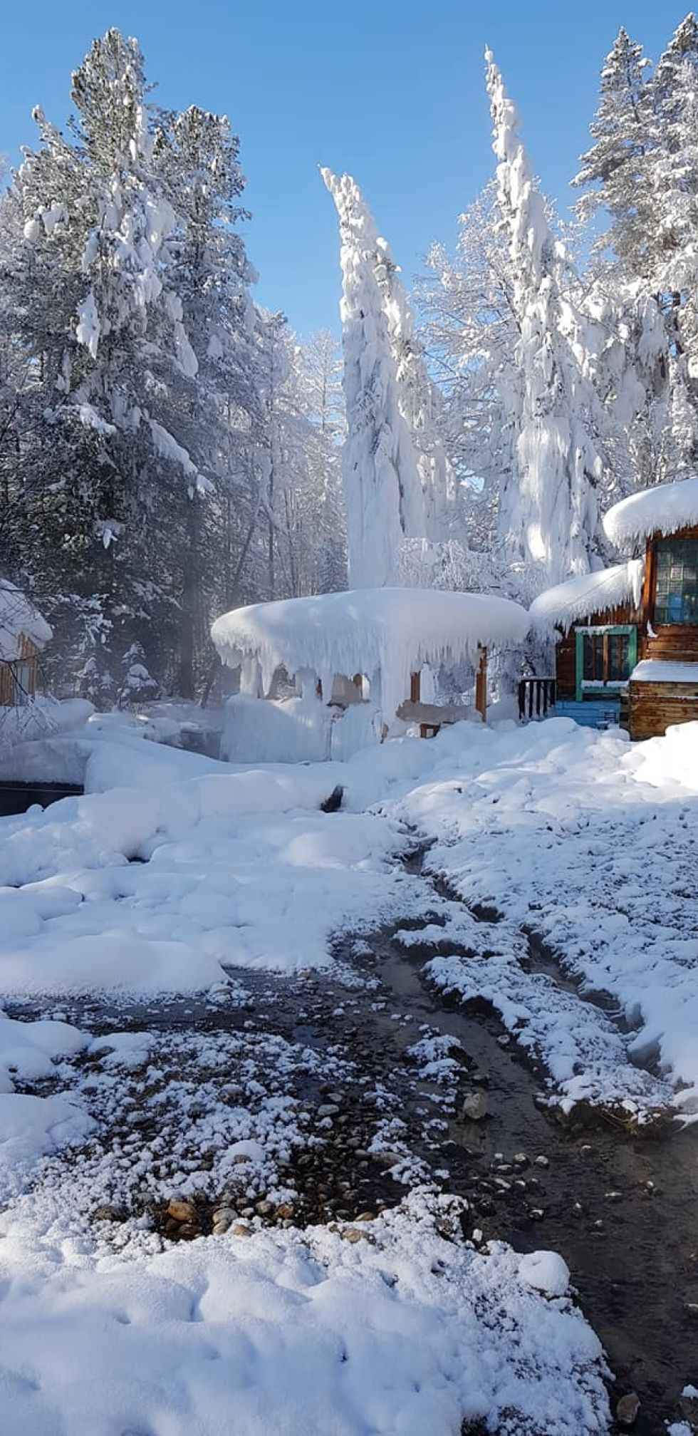 śnieżna pokrywa w okolicach syberii w rosji