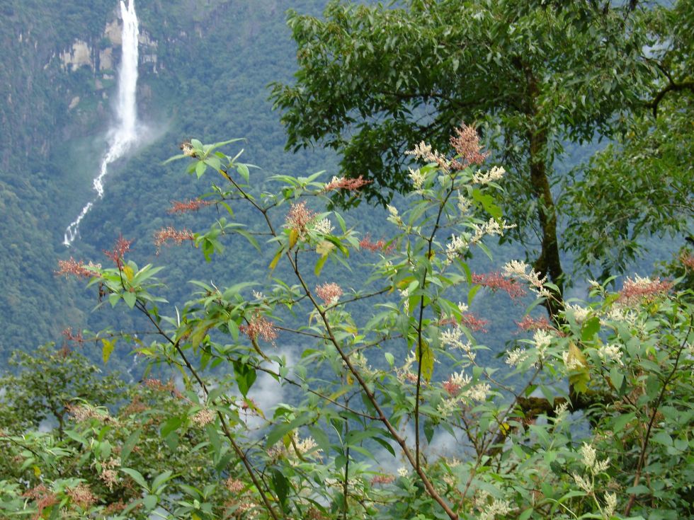 bhutan