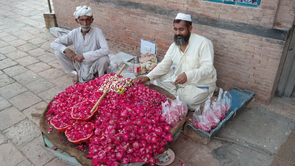 kwiaty na bazarze w pakistanie