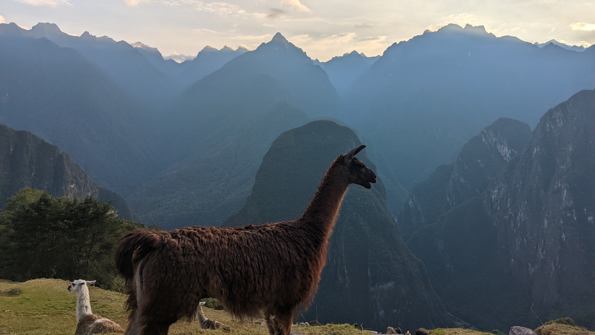 peru