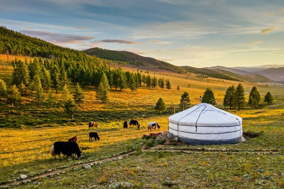 nocleg w jurtach w otoczeniu mongolskich widokow