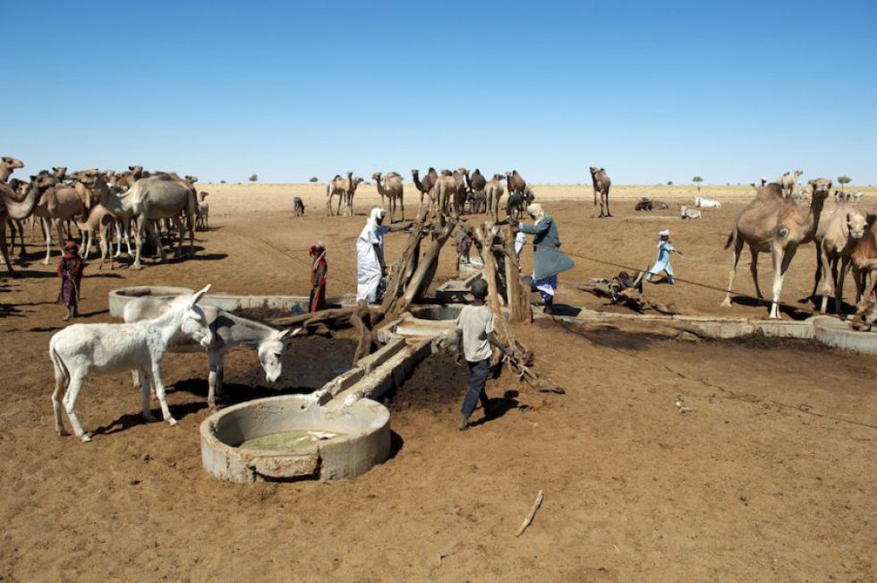 Wyprawa do Afryki - Sahara bez retuszu