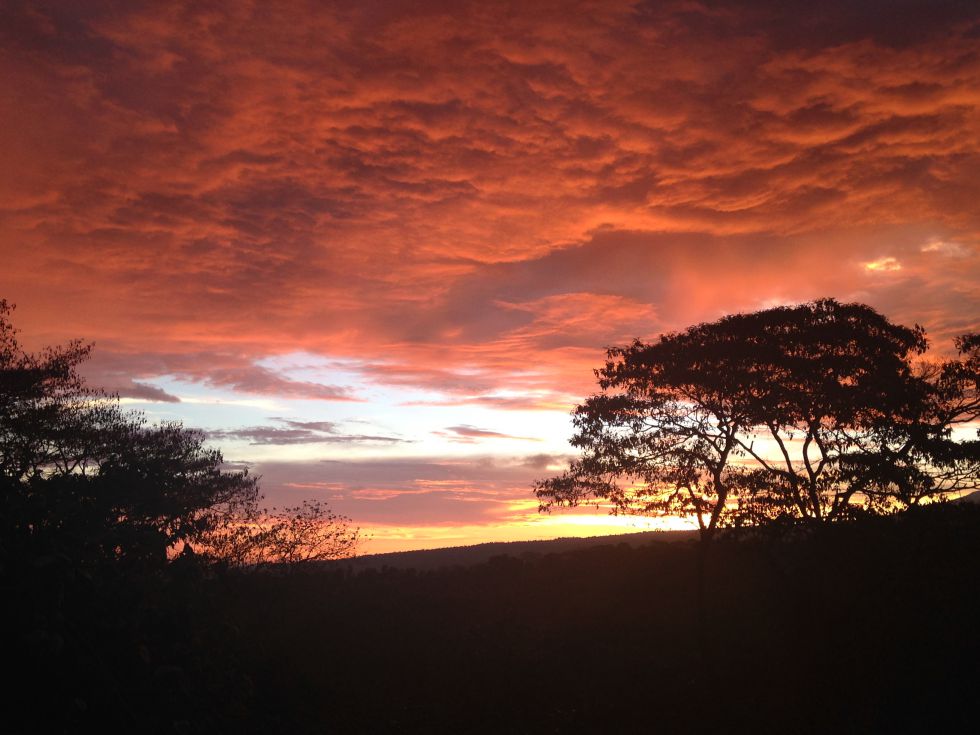 Kenia safari