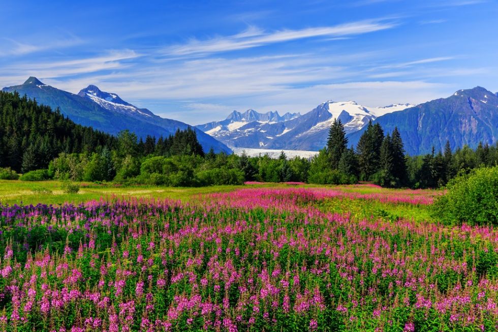 Park Narodowy Denali, Alaska