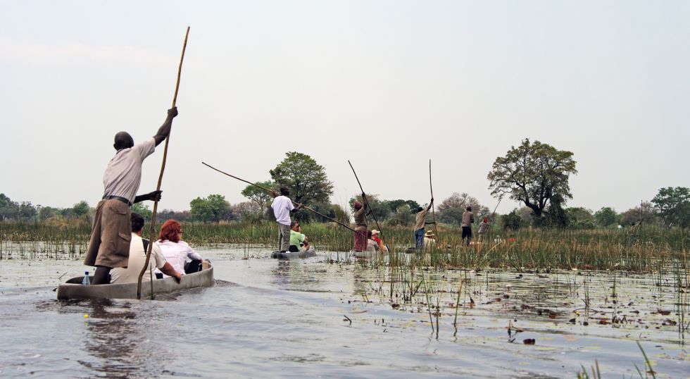 safari wodne po rzece Chobe