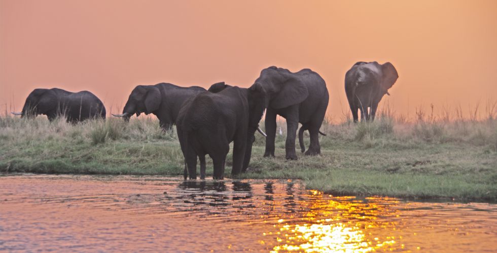 rezerwaty Poludniowej Afryki - safari w Parku Krugera, RPA