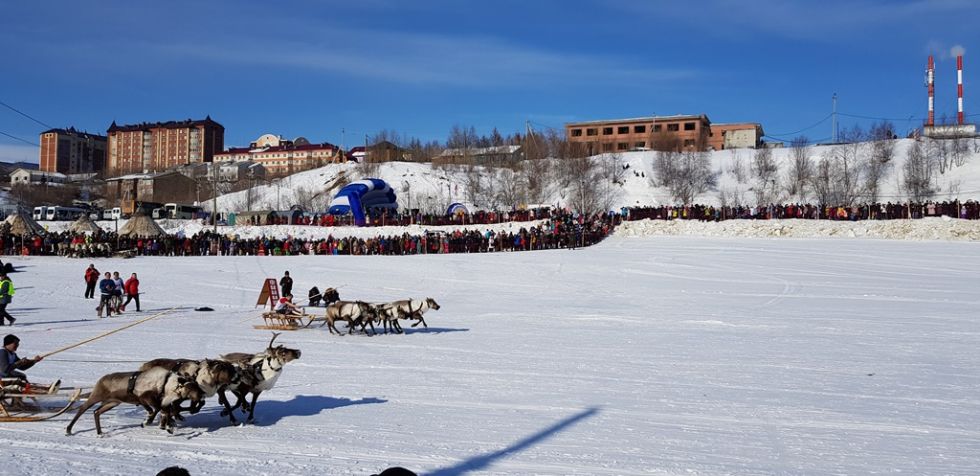 festiwal reniferow na syberii